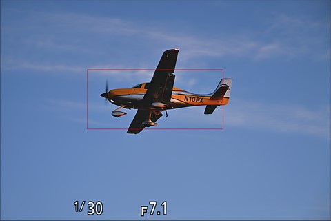 nikon zone autofocus selector