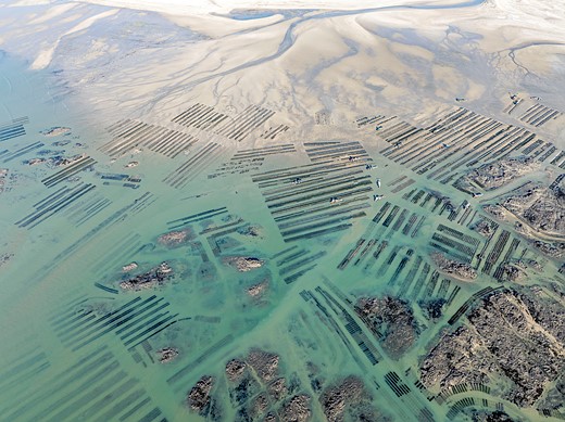 3913 10617 AndreasSecci Germany Professional Landscape 2026