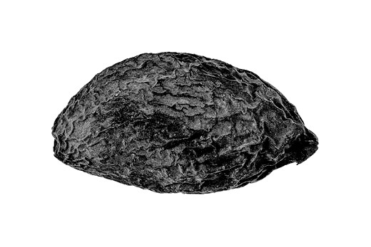 3989 11191 DanieleVita Italy Professional StillLife 2026