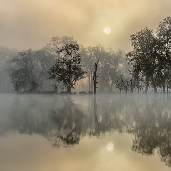  J2A0380-Pano-2-Edit - Diane Miller