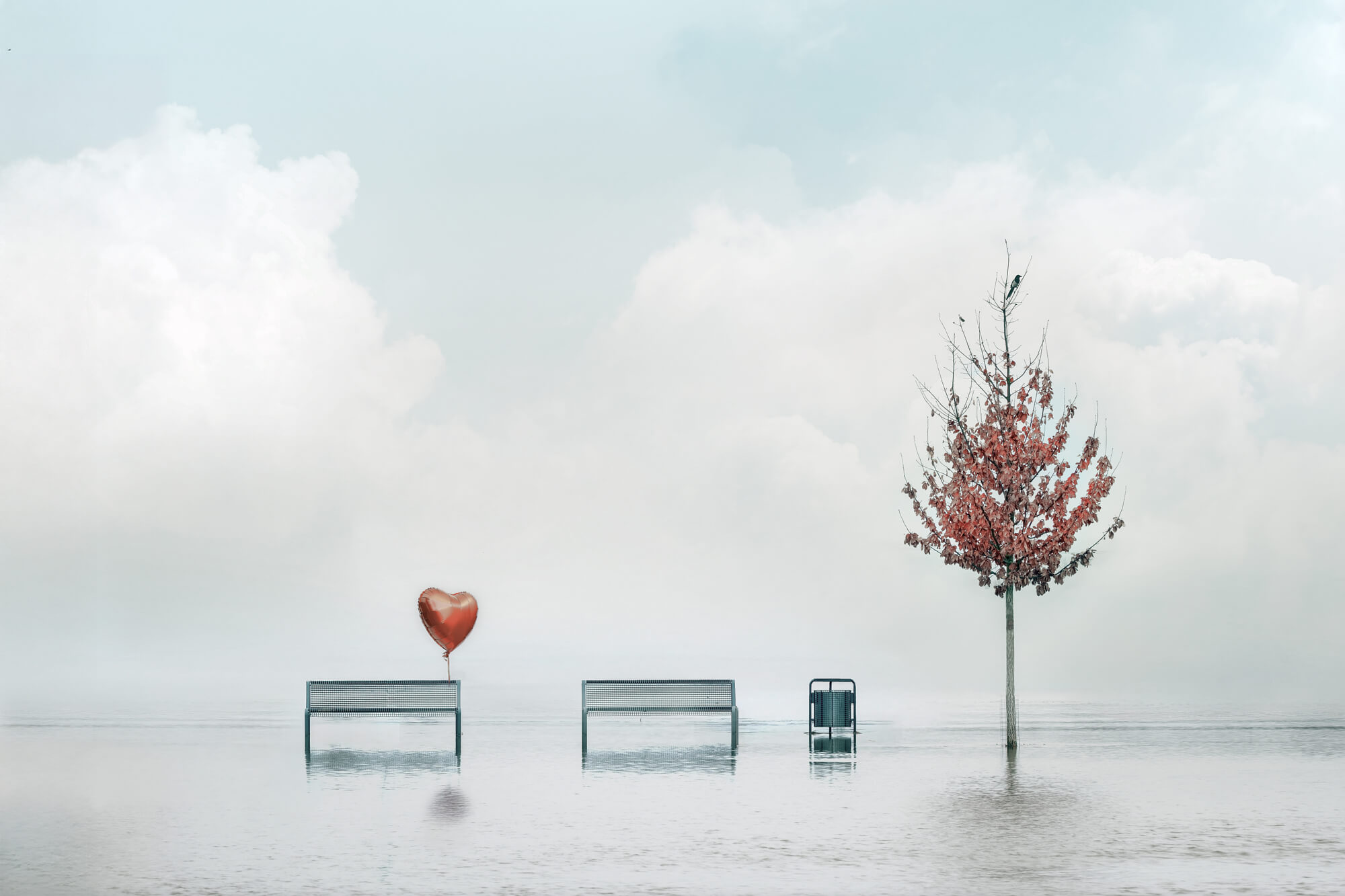 Stefan Fischer minimalist surreal scene with empty benches, a red heart balloon, and a lone tree in mist, showcasing quiet atmosphere and dreamlike composition