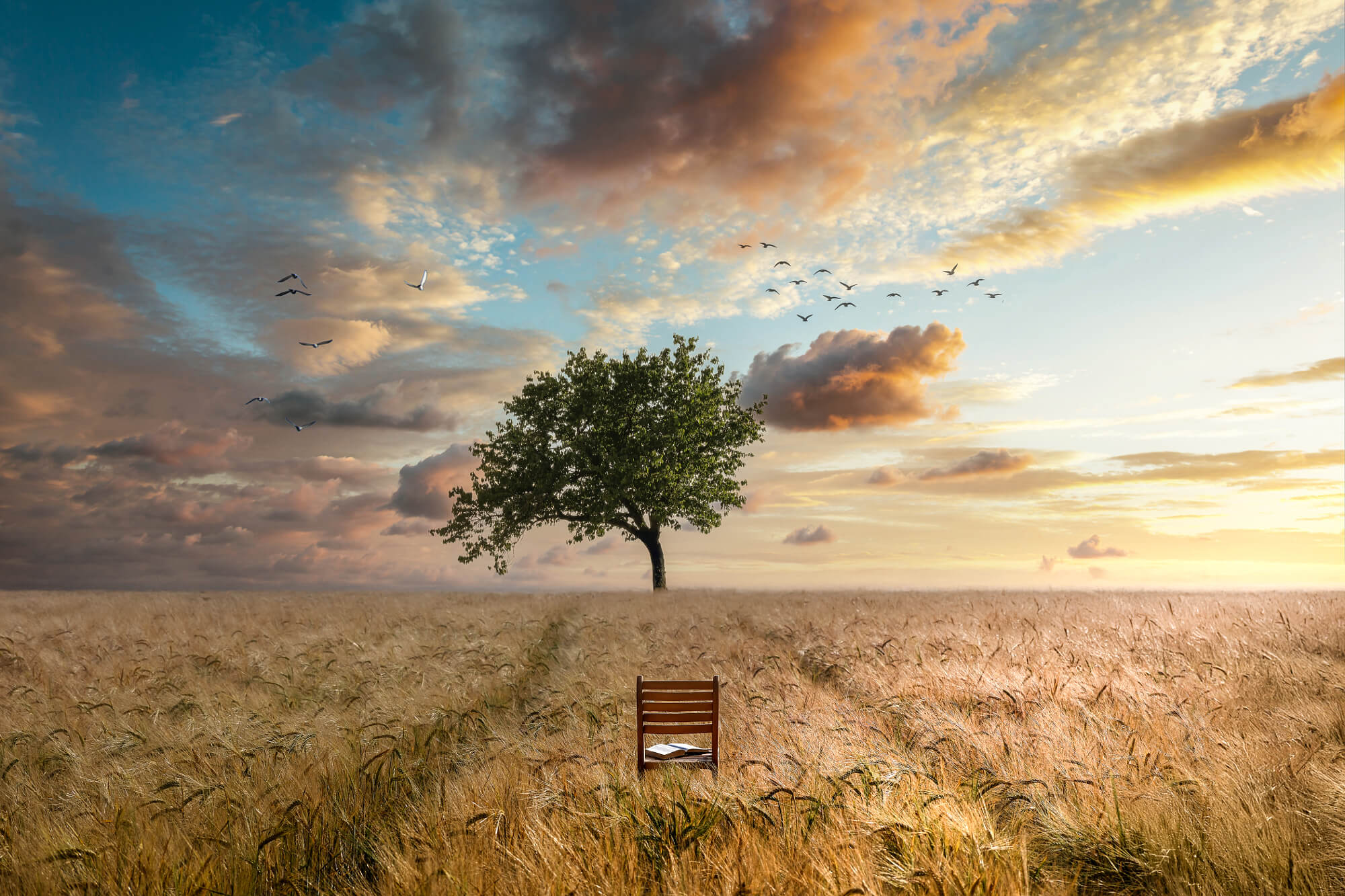 Stefan Fischer surreal landscape with a lone tree and chair in a golden field under dramatic sky, showcasing minimalist composition and dreamlike atmosphere