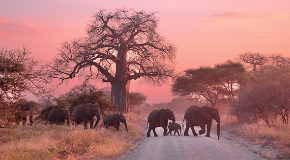 DSC 9891 - Friedrich von Horsten