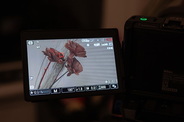 nikon zr focus peaking r3d ne