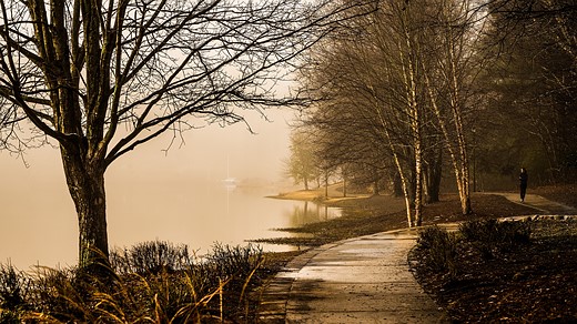 paul-peterson martins landing