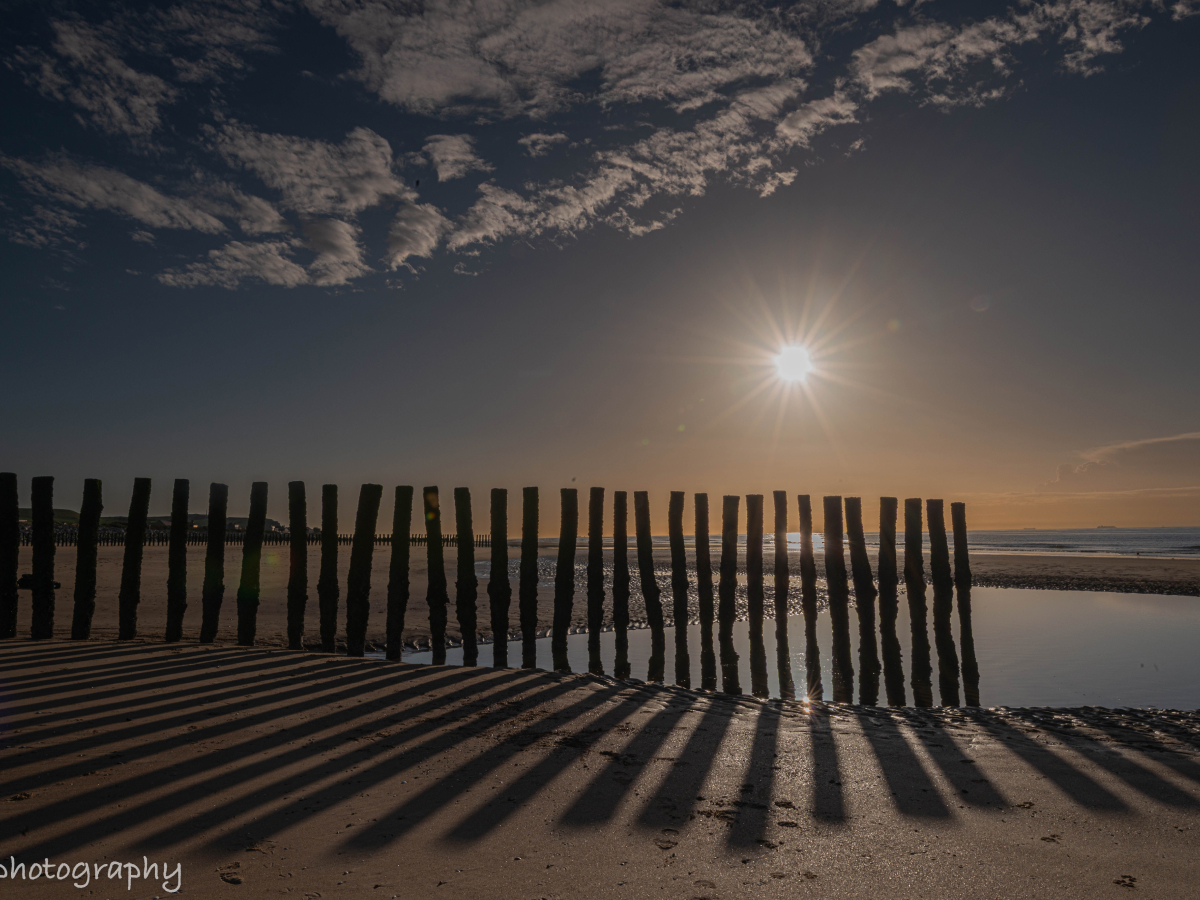 Shadow shapes photography of a wooden beach fence casting long striped shadows across the sand under low sunlight, with a bright sun and coastal horizon in the background.