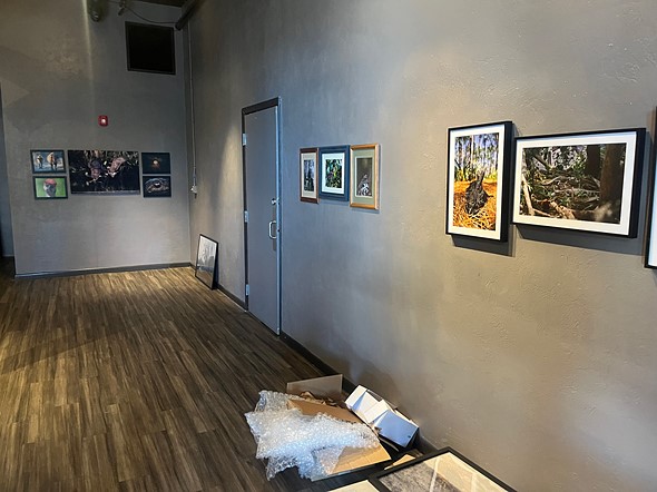 artwork hangs on gray walls in a gallery space with boxes on the floor