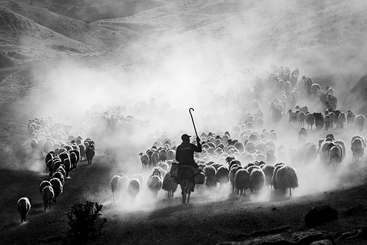 18 Food in the Field Serkan Dogus Dust Journey Hi-Res