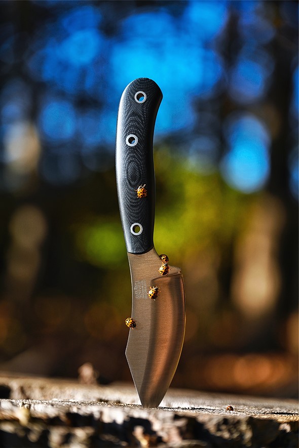Alberto-Tanikawa-Bark-River-knife-jx6-ii-beetles-crawling-over-it