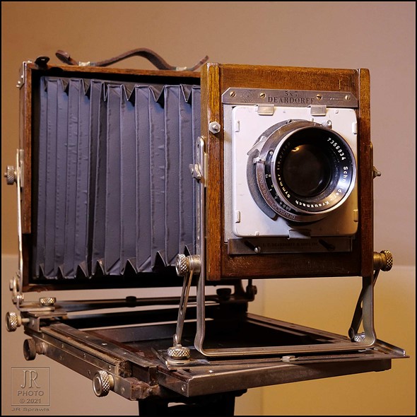 Gato Amarillo-deardorff-camera