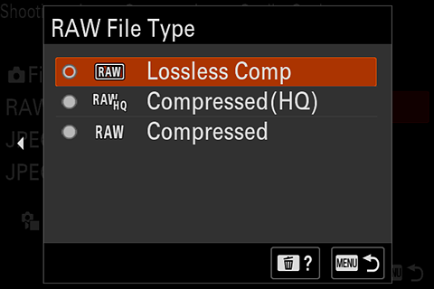 Raw types