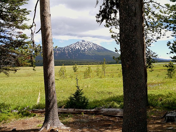 Snow-capped mountain behind sunlit green meadow