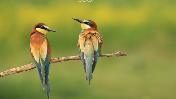photo-lovely-weather-were-having-271106405