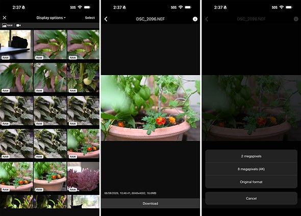 three screenshots of the snapbridge app images downloading pages