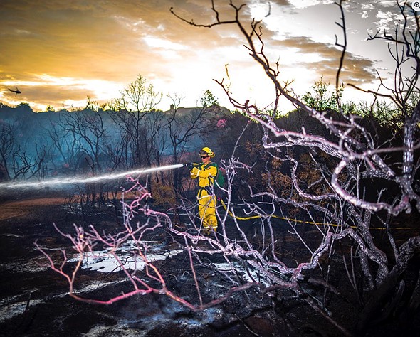 a Firefighter stands spraying a hose in a burned forest