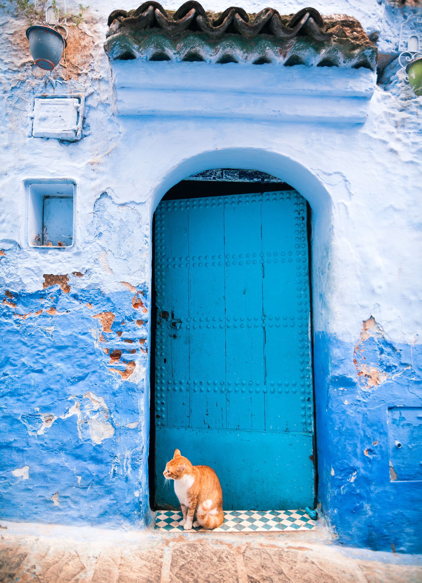 An orange and white cat sitting on a checkered tiled doorstep by a rustic blue door in Morocco, illustrating intimate travel photography tips from Younes Ezzentri.