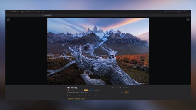 grid-photo-featured