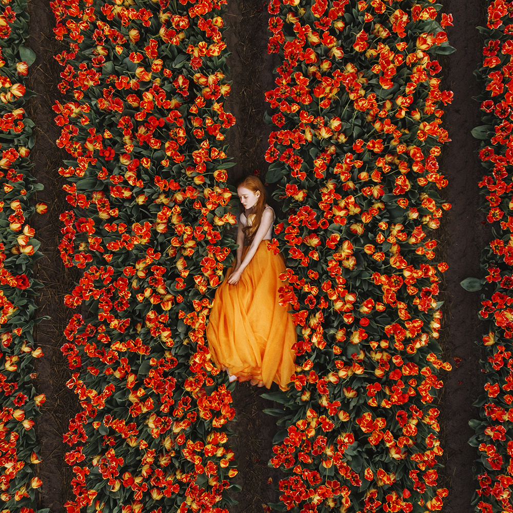 Aerial view of a woman in an orange dress lying between rows of red tulips, saturated warm color creating energy and intensity.