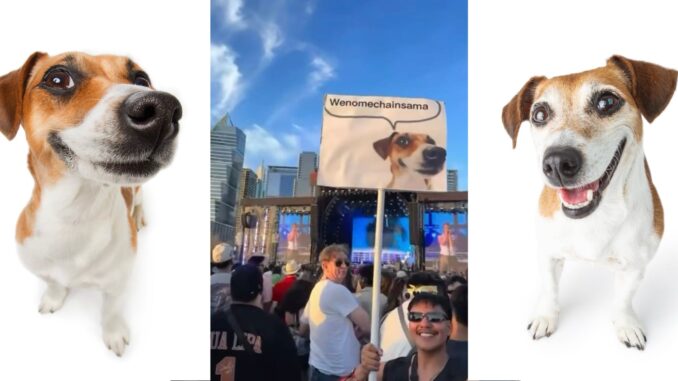 A-A-Folou-Meme