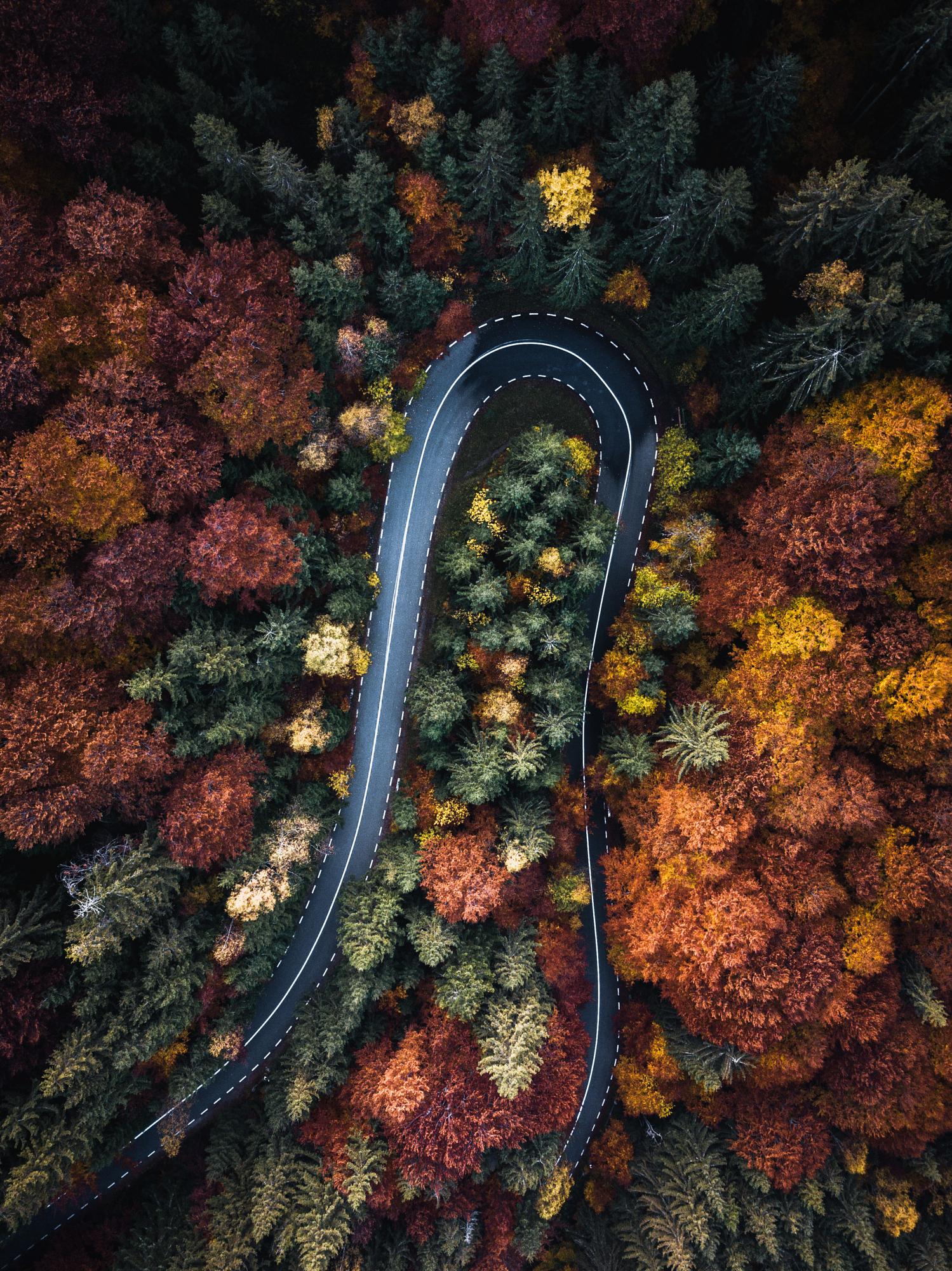 Aerial view of a winding road cutting through a dense forest with a mix of green, yellow, and red foliage, illustrating the mixed canopy colors essential for summer to fall photography.