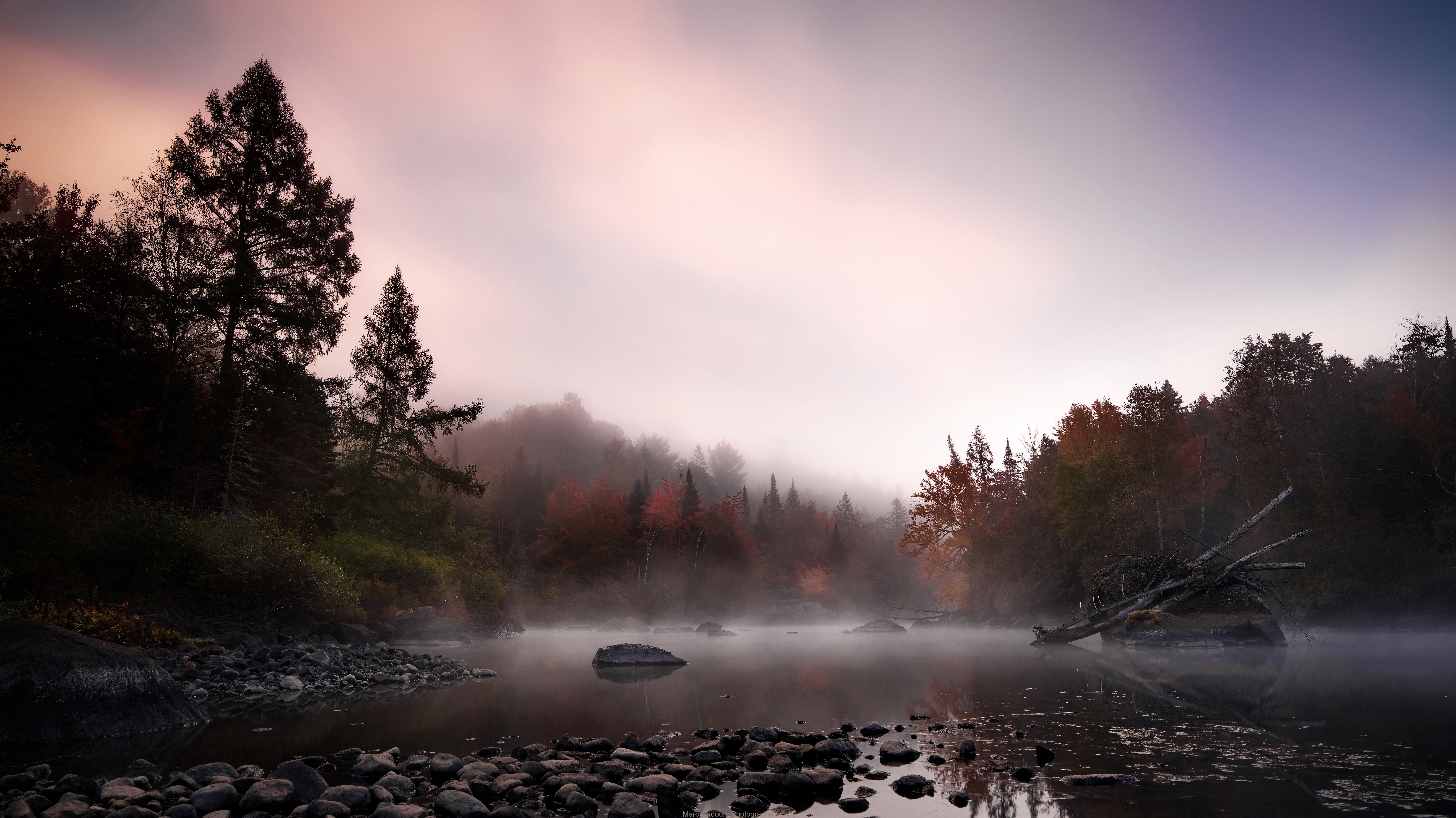 Mist rising off a rocky river at dawn, framed by autumn foliage and evergreens under a soft pink sky, an early morning foggy landscape photograph.